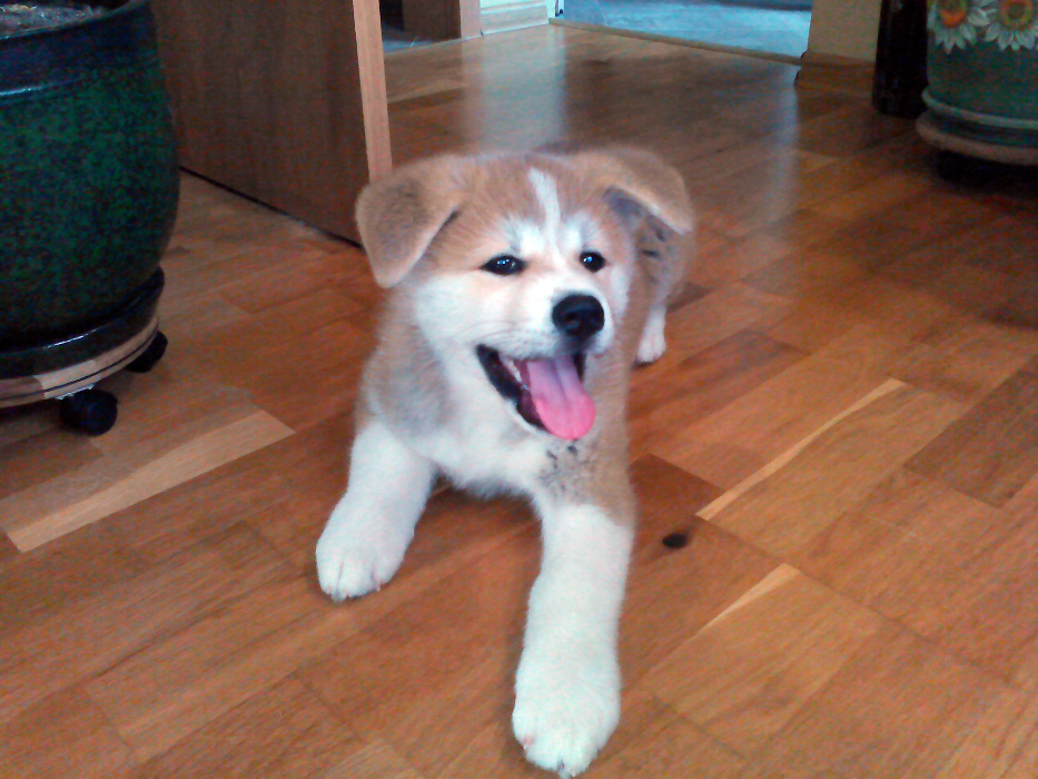 Вино Рю Романс Розе от Марселан, 0.375 л, Домейн Бойар